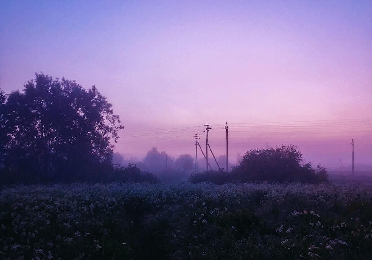 半岛体育全站-2020中国金球奖前三名揭晓 3W竞争年度最佳