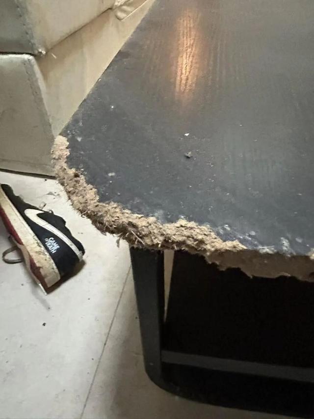 半岛体育-女租户失联，房屋散发恶臭被严重损坏，昆明房东报警：损失预估2万以上，她曾自称刚毕业，手头紧；物业：屋内狗彻夜狂叫，邻居曾报警